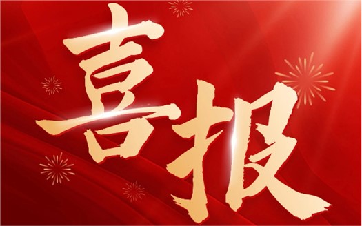 集團(tuán)榮膺2025中國民營企業(yè)500強(qiáng)第249位，制造業(yè)民營企業(yè)500強(qiáng)第177位，排名較去年雙雙大幅提升